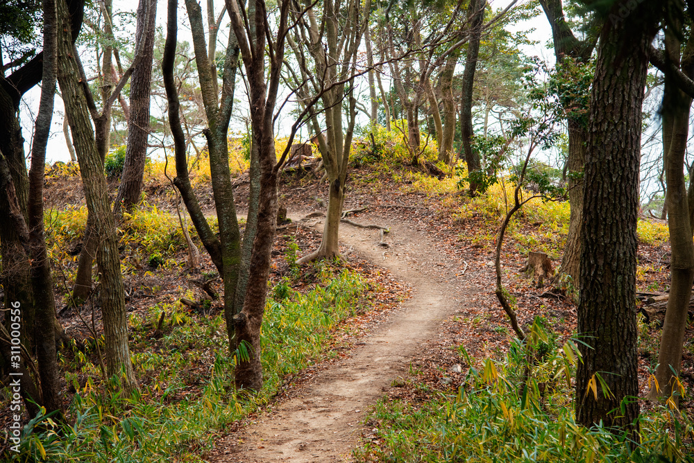 Naklejka premium 神戸・裏山の古道、トレッキングコースから