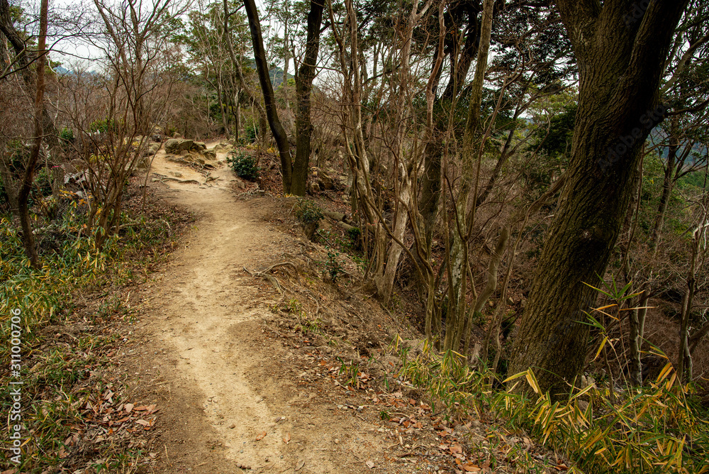 神戸・裏山の古道、トレッキングコースから