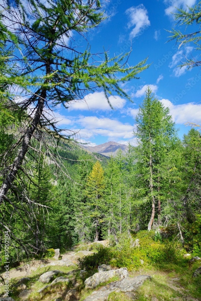 Obraz premium Berglandschaft