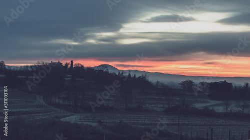 Cold misty morning in the vineyards of Italy