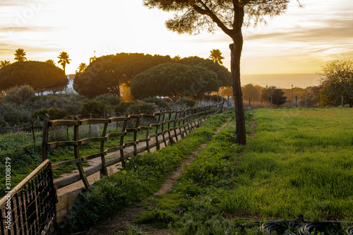 Wallpaper Mural spnish ountryside spring morning sunrise evening sunset Torontodigital.ca