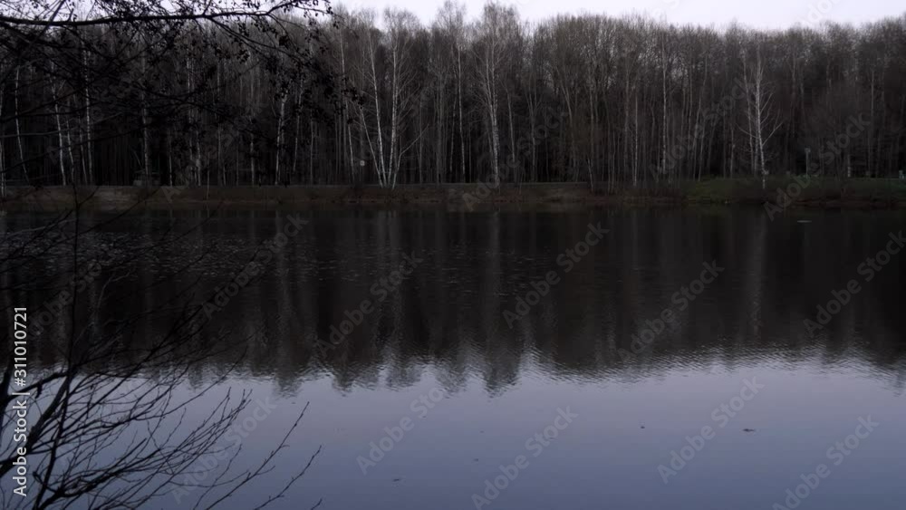 Trees without leaves and a pond. Trees in late autumn with bare branches in the evening. The movement of water due to wind in a pond (lake). Lifeless and terrible landscape. Trees without leaves and a pond. Trees in late autumn with bare branches in the evening. The movement of water due to wind in a pond (lake). Lifeless and terrible landscape.