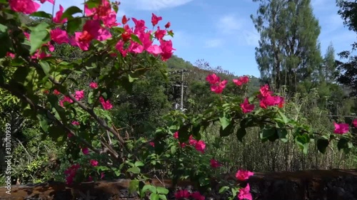 Wallpaper Mural Landschaftsaufnahmen in Bali Torontodigital.ca