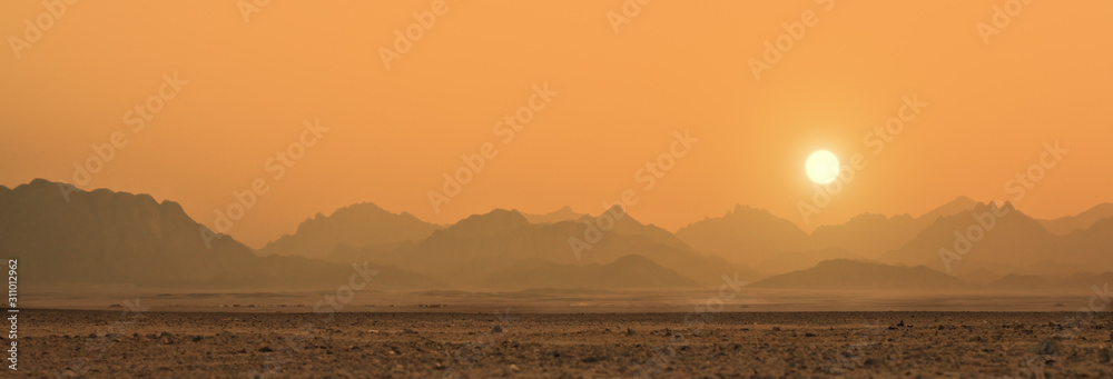 Fototapeta sunset in Sahara desert