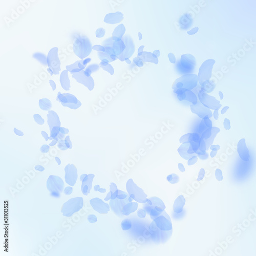 Dark blue flower petals falling down. Ecstatic rom