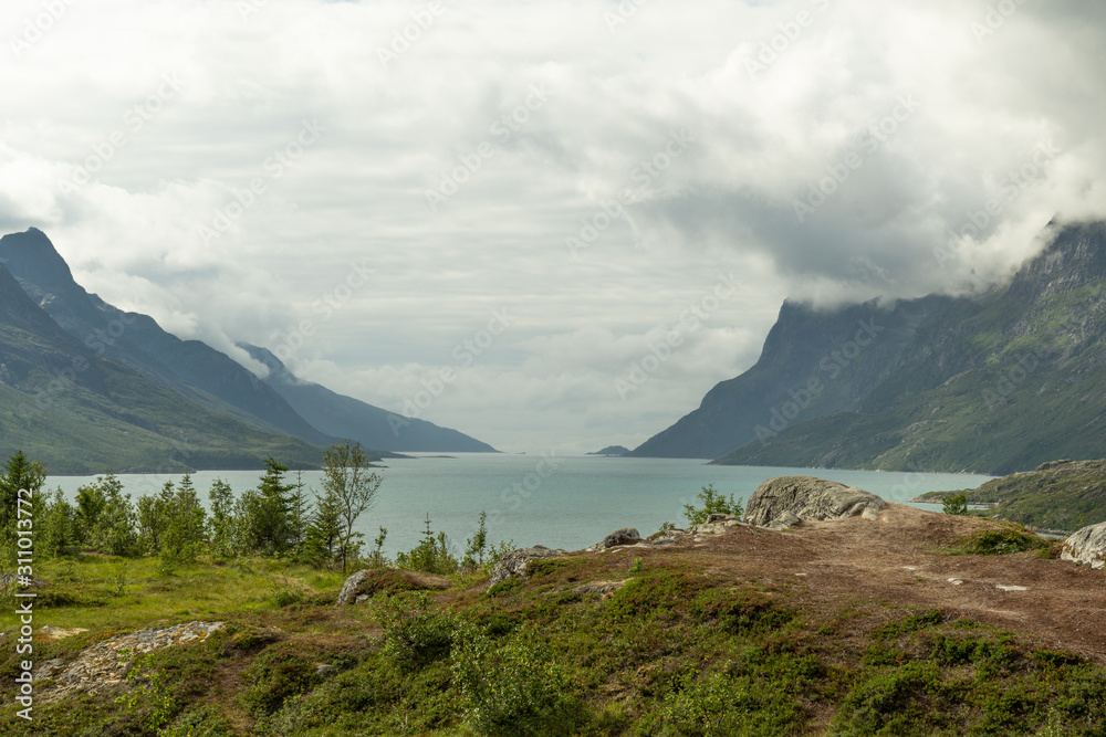 Norwegian fjord in cloudy weather. Dark mountains surrounding the water and in foreground a green plateau with plants. Ersfjordbotn near Tromso in Norway.