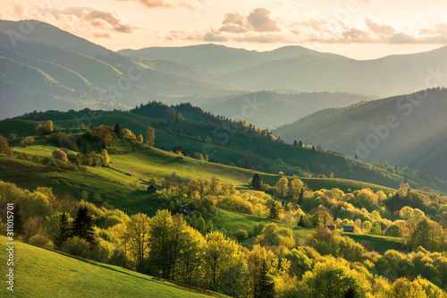 mountainous countryside at sunset. landscape with grassy rural fields and trees on hills rolling in to the distance in evening light. distant ridge and valley in haze. fantastic scenery in springtime © Pellinni