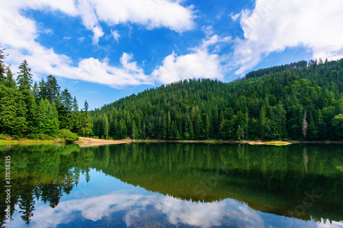 mountain lake in summertime. great outdoor nature scenery. coniferous forest with tall trees on the shore reflecting in clear water. deep blue sky with clouds. beautiful landscape