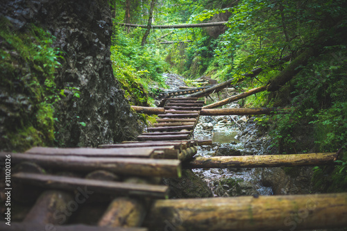 Wild adventure, Hiking trail through canyon in Slovak paradise national park, Slovakia 