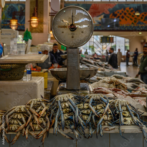 Trip to Kuwait City and local market