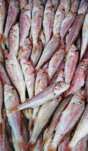 fish, food, market