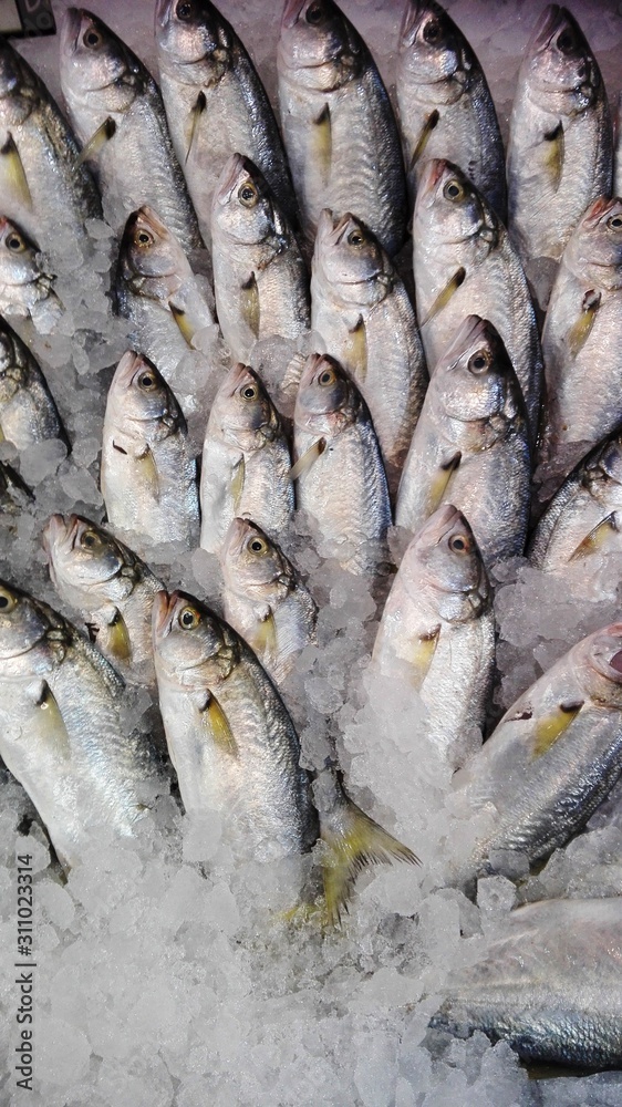 Obraz premium fish, food, fresh, market,