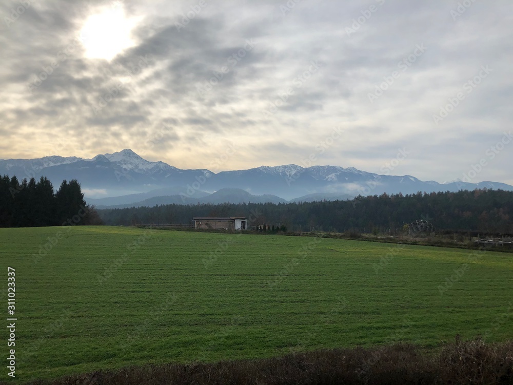 Obraz premium landscape with green field and blue sky