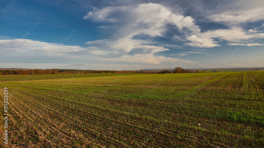 Green field on sunny autumn day