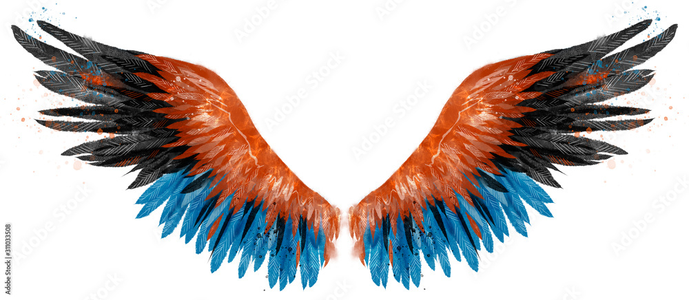 Fototapeta Piękny czarny niebieski pomarańczowy skrzydło, ręcznie rysowane, efekt akwareli