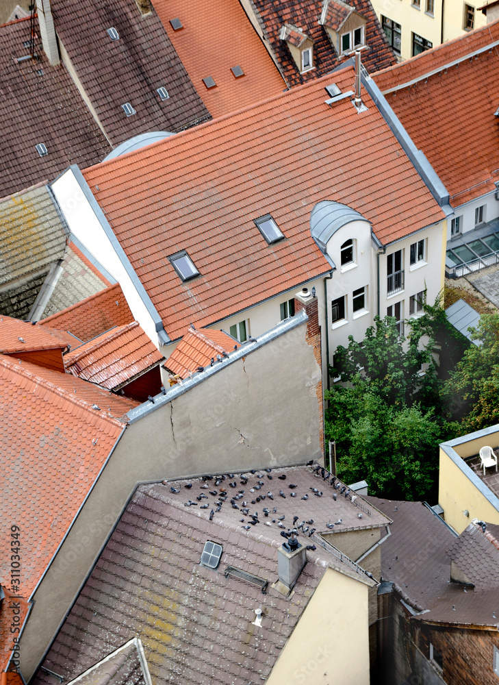 tiled roofs of an old German town