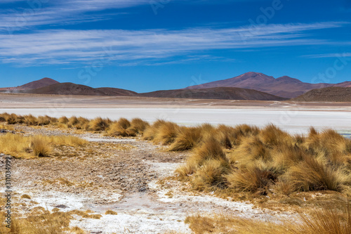 Laguna Charcota on the altiplano in Bolivia