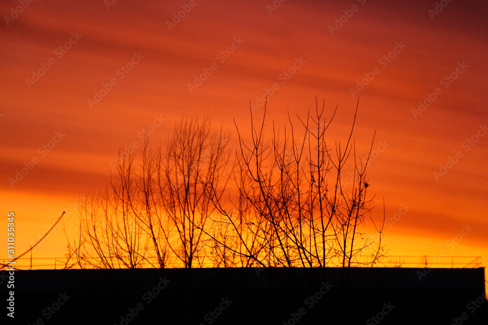Colorful sunset landscape picture. Red clouds rises above rooftop and trees without leaves in autumn. Dramatic sky. Colorful sunset landscape picture. Red clouds rises above rooftop and trees without leaves in autumn. Dramatic sky.