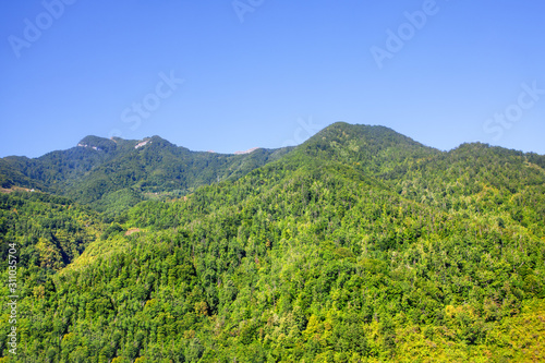 green forest and mountains against blue sky