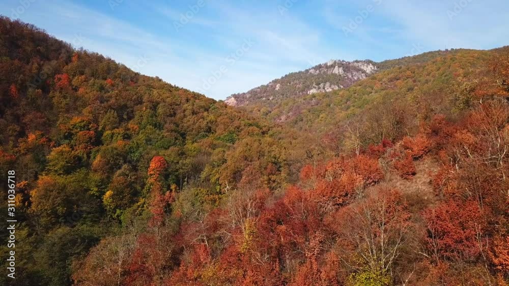 Drone shot above mountains and hills covered in autumnal trees Drone shot above mountains and hills covered in autumnal trees