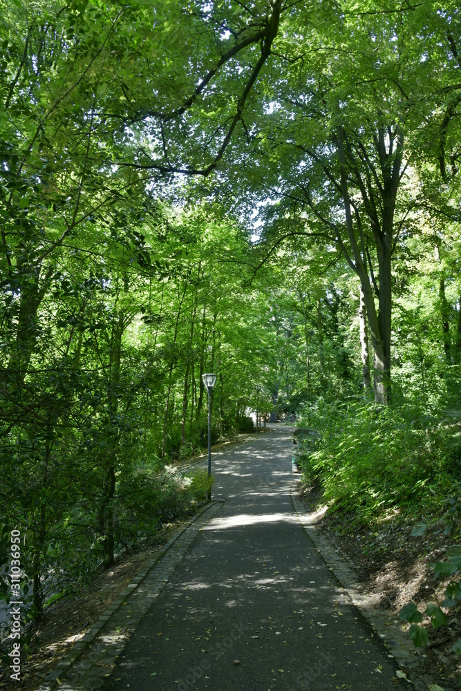 Chemin asphalté sous la végétation luxuriante du parc Josaphat à Bruxelles 