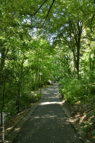 Chemin asphalt   sous la v  g  tation luxuriante du parc Josaphat    Bruxelles 