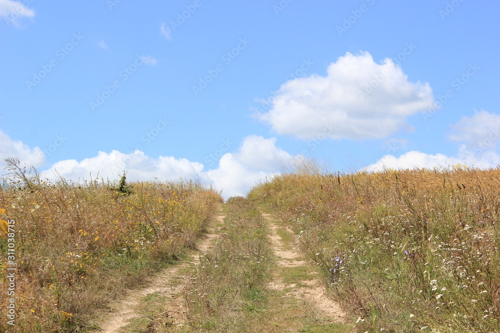 Fototapeta premium field road