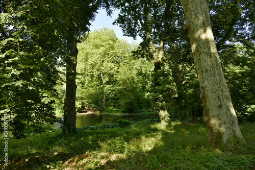 La végétation dense et luxuriante dominant l'un des étangs au parc Josaphat à Bruxelles
