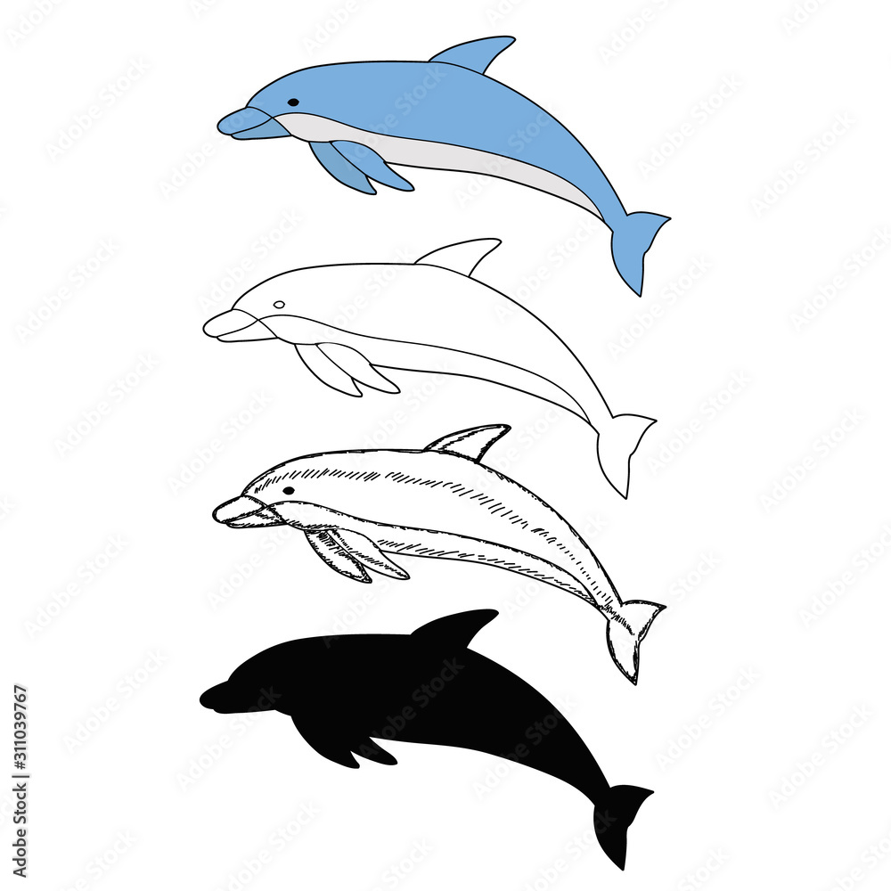 isolated, blue dolphin is swimming, with silhouette and sketch isolated, blue dolphin is swimming, with silhouette and sketch