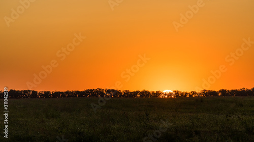 Beautiful Sunset. Sun is getting down behind the trees. Summer evening in Blagoveshchenskaya. Anapa  Russia.