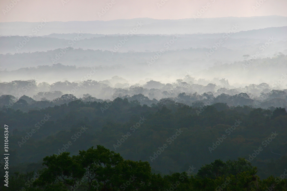Fog rising over Tikal