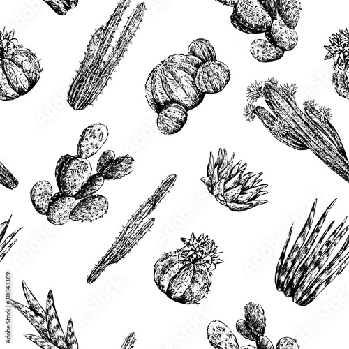 Vintage vector seamless pattern. Graphic sketches of different cacti and succ...