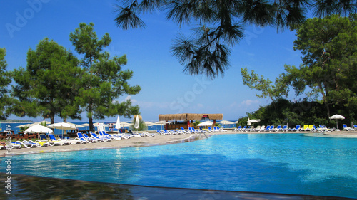 blue water pool by the sea surrounded by evergreen trees