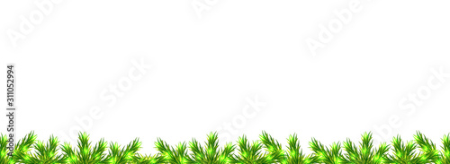 Christmas tree branches frame seamless pattern, vector art illustration.