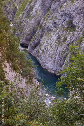 Mountain summer landscape. Canyon in Montenegro. 