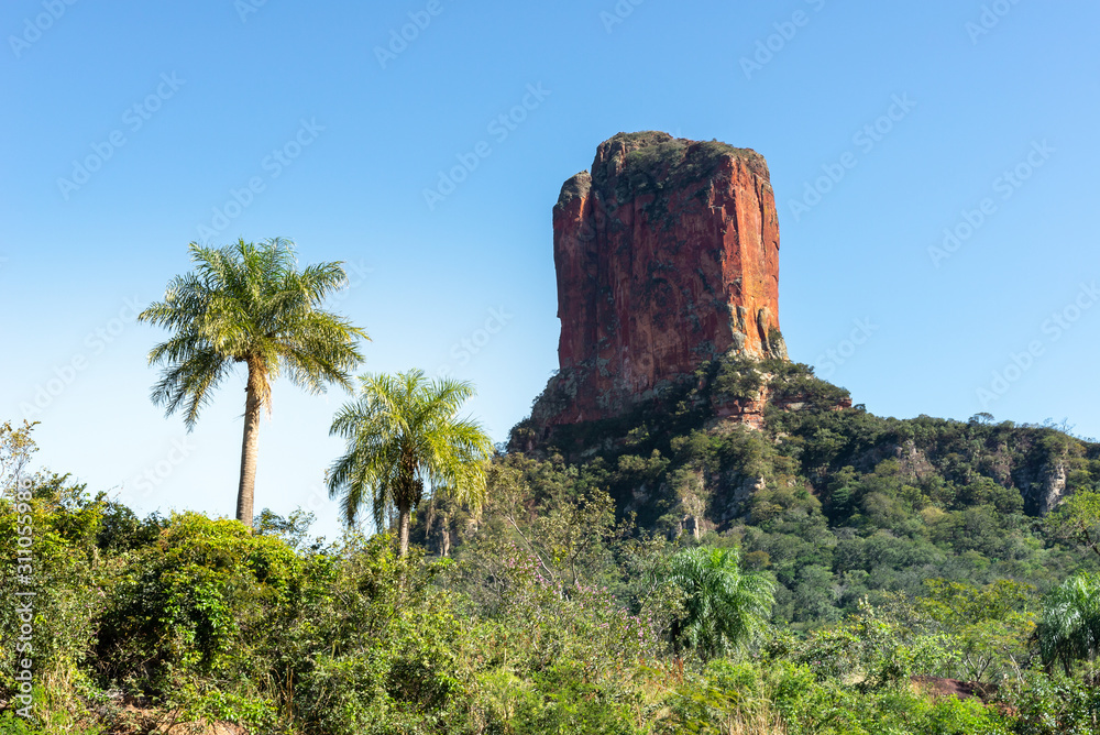 David Tower (Devil's Molar), Chochis, Bolivia