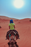 Camel caravan going through the sand dunes in the Sahara Desert, Morocco at sunset