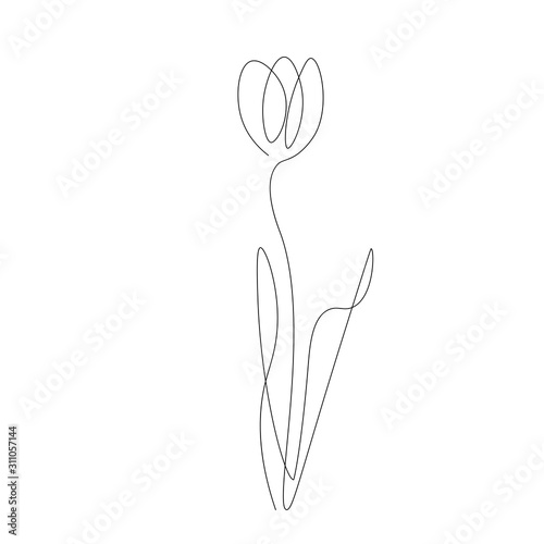 Spring flower on white background. Continuous line drawing. Vector illustration