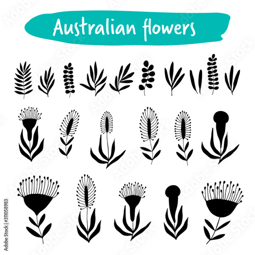 Set of australian flowers, black silhouettes