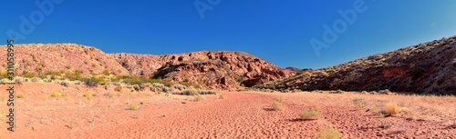 Red Cliffs National Conservation Area Wilderness and Snow Canyon State Park from the Elephant Arch and bone wash Trail by St George, Utah in desert reserve. United States. USA.