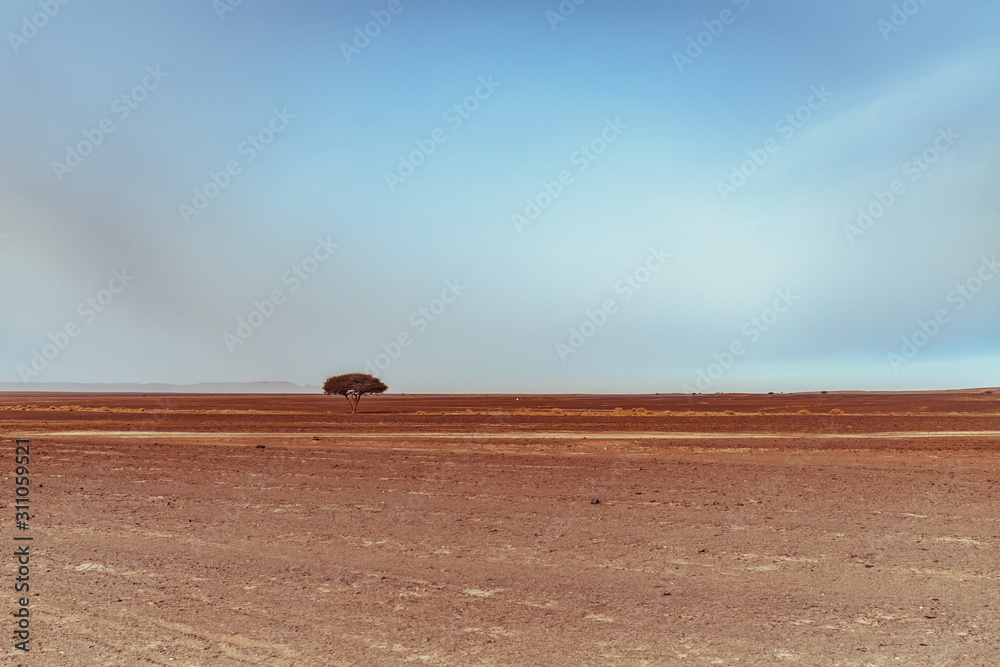 Obraz premium View on the moroccan desert, drying of dry river and desertification