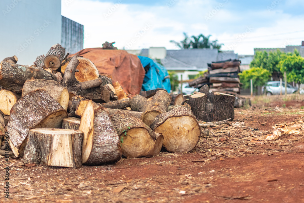 group of cut and stacked tree toasts saved on ground group of cut and stacked tree toasts saved on ground