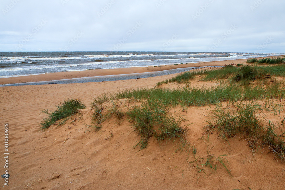 The baltic coast in Latvia during the rainy and windy day. The sea is wild and the waves are quite big. The beaches are empty. 