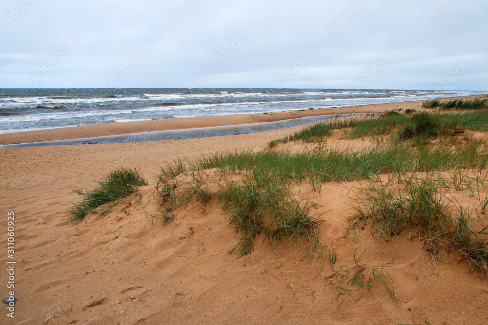 The baltic coast in Latvia during the rainy and windy day. The sea is wild and the waves are quite big. The beaches are empty. The baltic coast in Latvia during the rainy and windy day. The sea is wild and the waves are quite big. The beaches are empty.