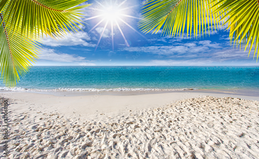 Sunny with coconut leaves and sandy beaches in the summer holidays, summer vacation and travel concept with copy space Sunny with coconut leaves and sandy beaches in the summer holidays, summer vacation and travel concept with copy space