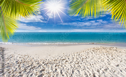 Fototapeta Naklejka Na Ścianę i Meble -  Sunny with  coconut leaves and sandy beaches in the summer holidays, summer vacation and travel concept with copy space