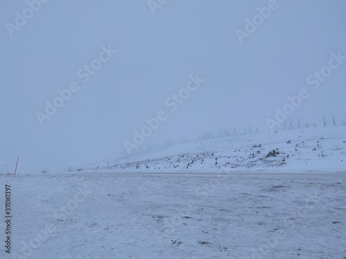 Empty road covering by white snow and some dry grass at side way with cloudy climate in winter season.