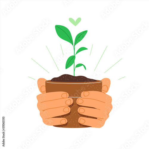 People hands holding green plant isolated