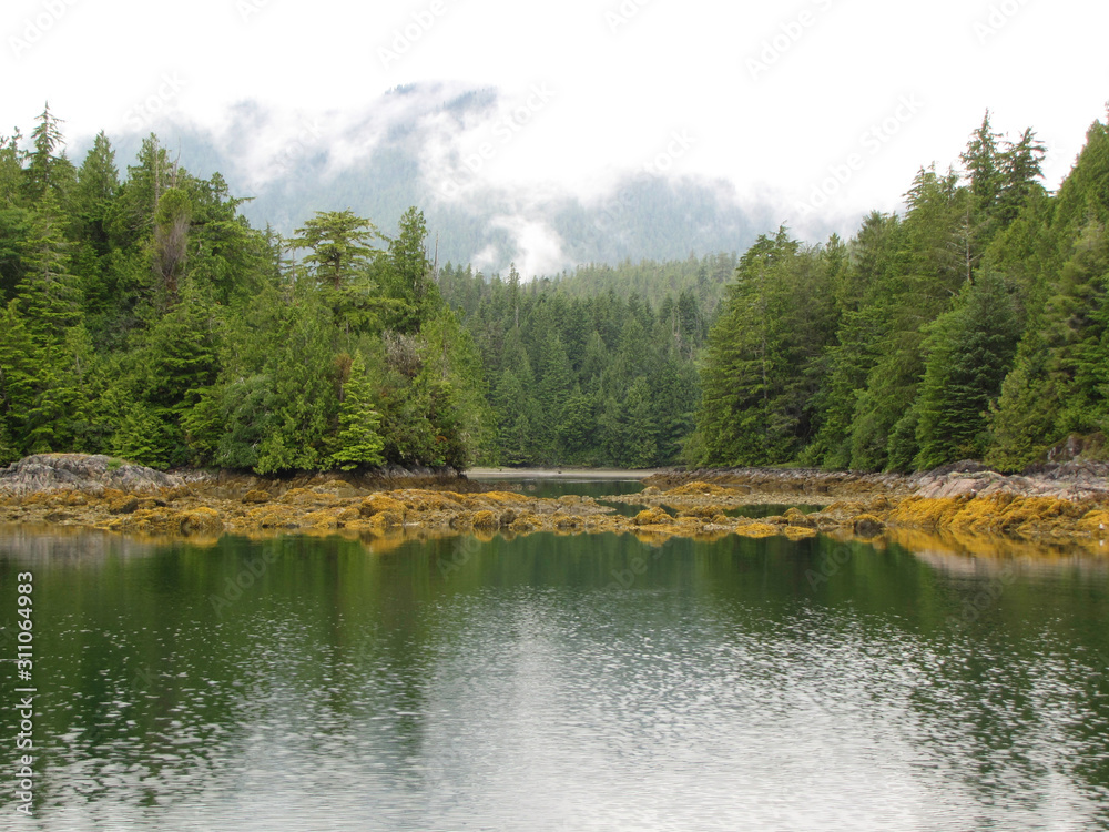 River meets the Inlet, mountain, lichen on rocks River meets the Inlet, mountain, lichen on rocks
