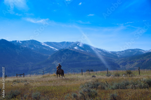 Rocky Mountains Cowboy Cattle Drive